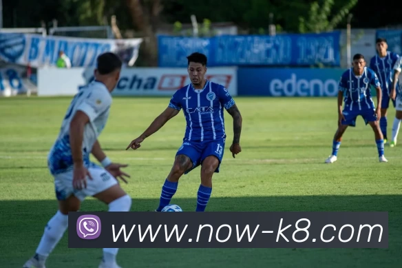 凯发娱乐平台生态图