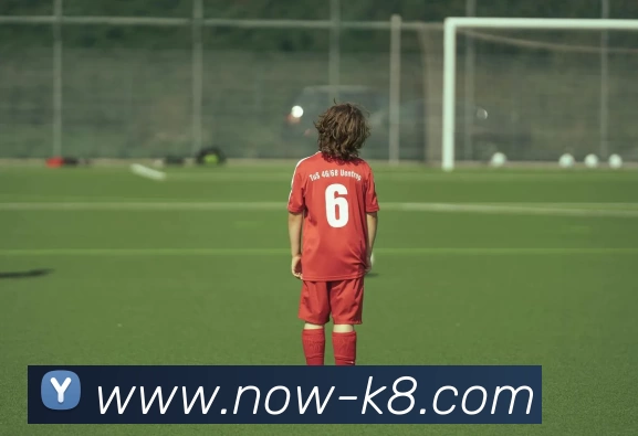 数据防护可视化